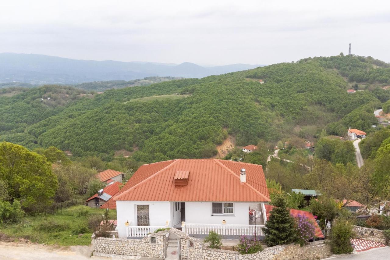 Вілла Vista De Montana Meteora II Vlachava Екстер'єр фото